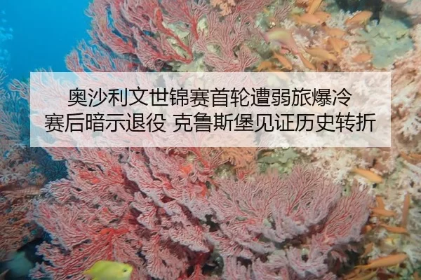 ao-sha-li-wen-shi-jin-sai-shou-lun-zao-ruo-lv-bao-leng-sai-hou-an-shi-tui-yi-ke-lu-si-bao-jian-zheng-li-shi-zhuan-zhe-2-792.jpg
